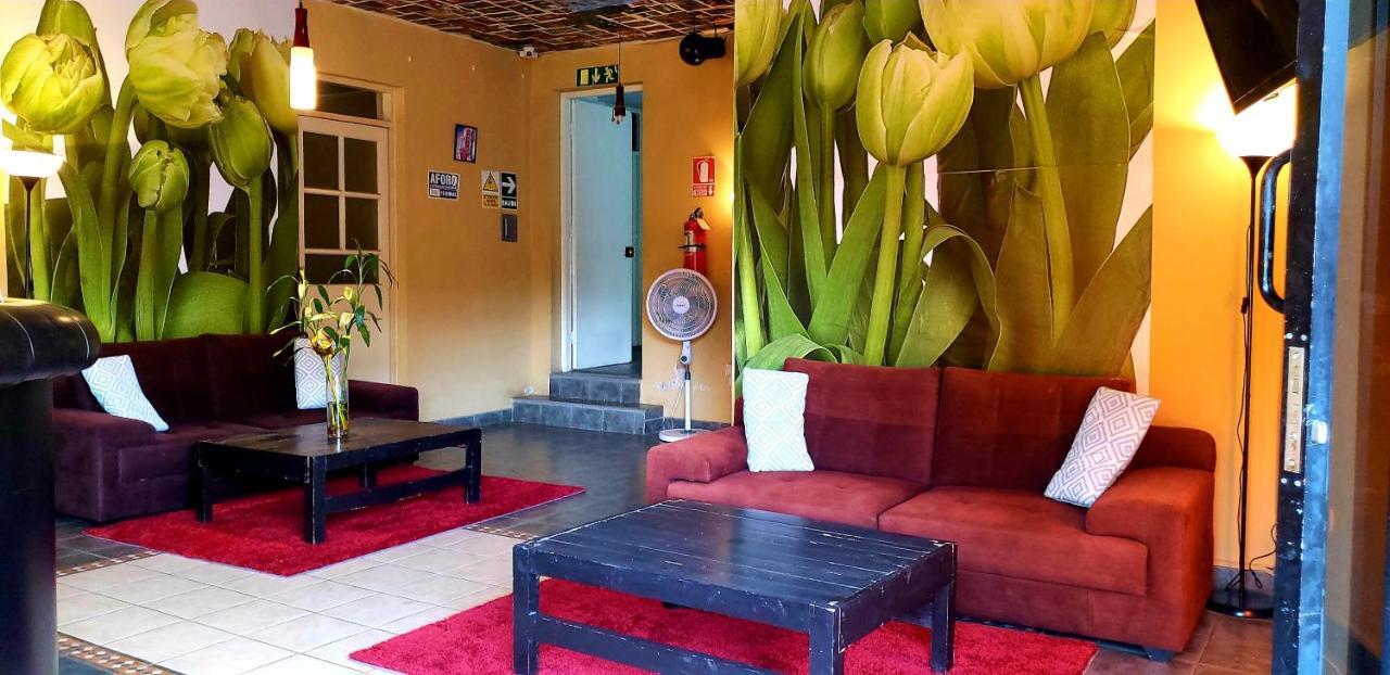 Hotel Ollanta Ica Zewnętrze zdjęcie
